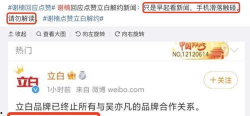 吃瓜爆料群啥意思,网络舆论场中的神秘力量