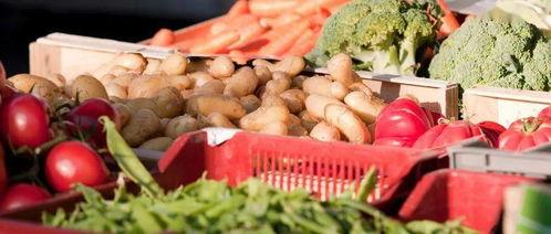 广河中学吃瓜,揭秘校园里的热点话题