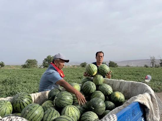 潮阳吃瓜,揭秘当地特色美食背后的故事