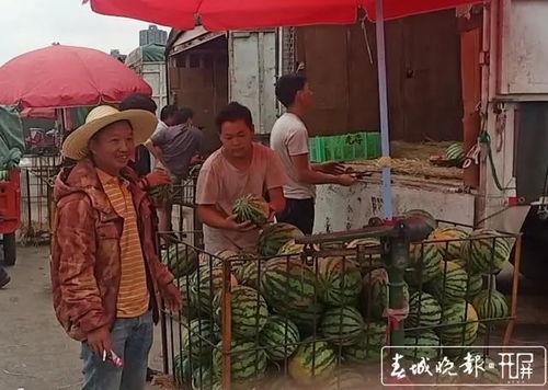 曲靖吃瓜群众,揭秘当地热点事件背后的真相