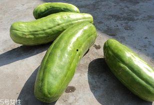 玻璃脆瓜怎样吃,探索脆嫩瓜果的味蕾之旅