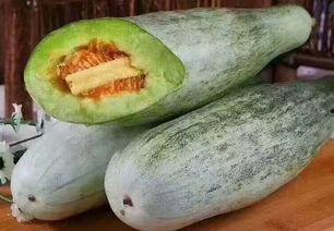 给羊吃的瓜是什么瓜