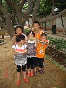 观众吃瓜打架,一场别开生面的“瓜界”打架盛宴