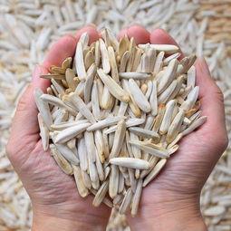 黑皮梭子酥瓜怎么吃,独特口感与多样食法探索