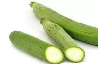 夏季吃五瓜是指哪五瓜呢,夏季五瓜养生之道