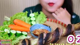 吃瓜蛇姐,揭秘娱乐圈背后的那些事儿