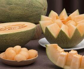 浙江吃的哈密瓜,甜蜜邂逅，地域特色交融