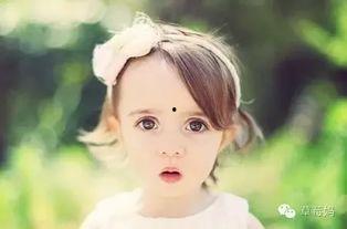 吃瓜女孩梳头视频大全,吃瓜女孩梳头视频大全，解锁时尚发型新潮流