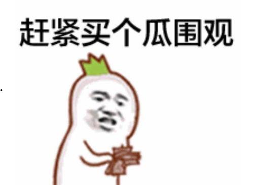 打工人吃瓜表情盘点,笑中带泪的职场百态