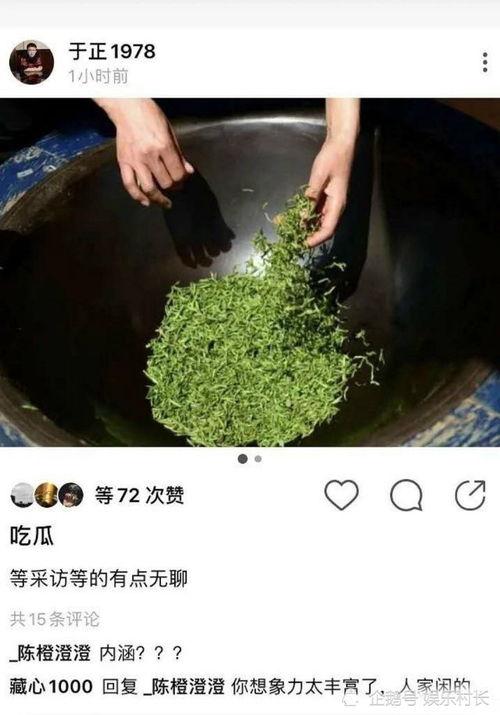 吃瓜从不缺席,揭秘娱乐圈幕后故事