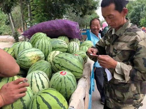 闪闪宝藏吃瓜,揭秘吃瓜界的神秘魅力