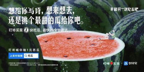 外卖吃瓜文案怎么写,揭秘美食背后的故事