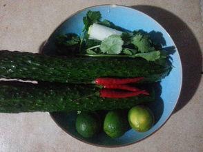 罐装酸瓜怎么吃,罐装酸瓜的多样食用指南