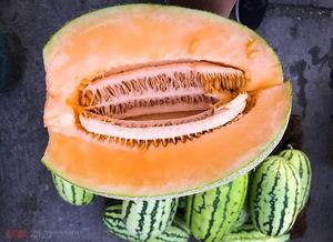 彩虹哥吃哈密瓜,甜蜜滋味，尽享人生