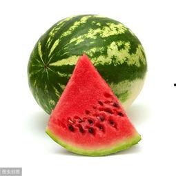 吃瓜组合名字,揭秘“吃瓜组合”背后的故事与魅力