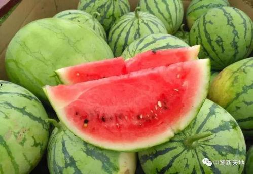 幼恩家吃瓜,共享欢乐滋味