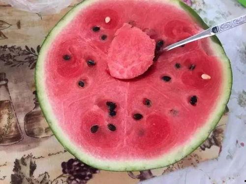 吃喜子瓜,探寻传统美食的独特魅力