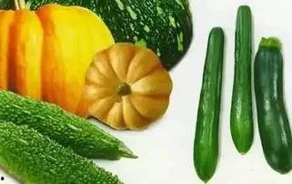 不周山吃瓜,探寻神秘山巅的甜蜜秘密