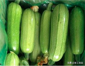 慢性胃炎可以吃西葫芦瓜,西葫芦瓜助力慢性胃炎患者调养身体