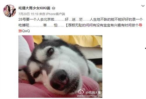 吃播kiki瓜,吃播界的美食探险之旅