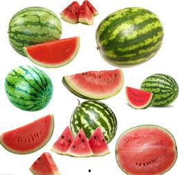 夏邱吃瓜,揭秘夏日消暑美食背后的故事