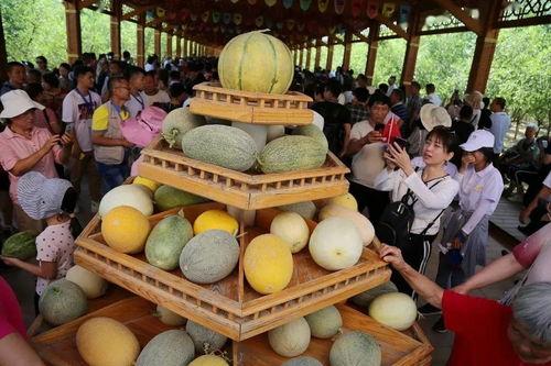哈密吃瓜人,瓜果飘香里的生活画卷