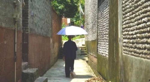 塘下吃瓜群众事件,一场网络舆论的风波与反思