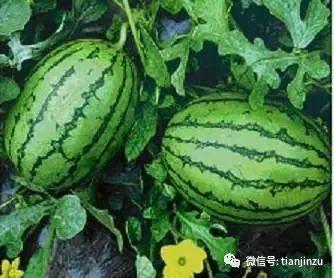 八吃瓜,揭秘娱乐圈背后的那些事儿