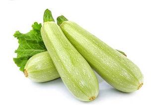 茭瓜吃货,探寻美食之旅，解锁茭瓜的独特魅力