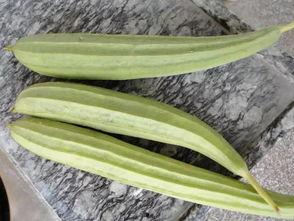 复子瓜怎么吃,解锁美味新体验