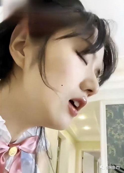 吃瓜网红资料视频,从视频资料看其生活与影响力