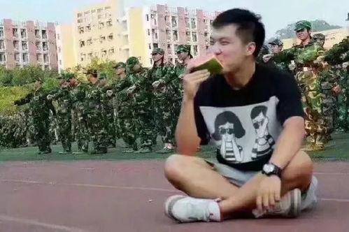 520吃瓜群众训练,揭秘网络热议背后的真相